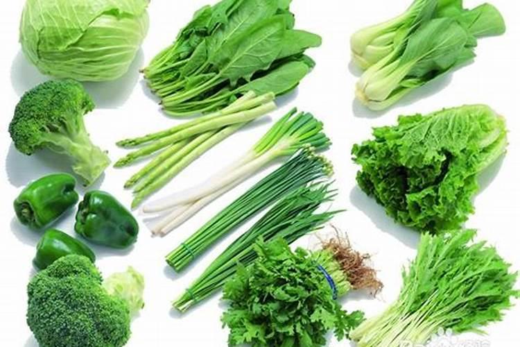 绿萝可以直接用啤酒浇吗