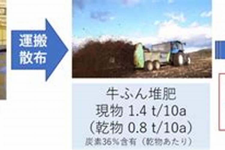 果树用水溶肥好还是复合肥好