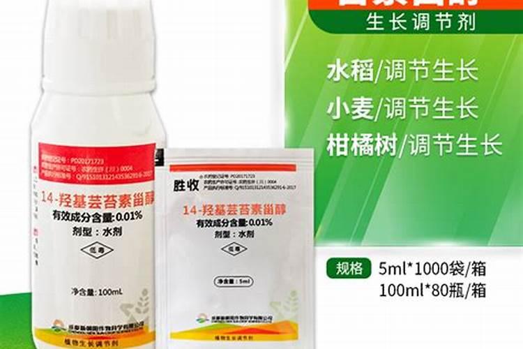 如何使新茶叶做成细长条 怎样使新茶叶做成细长条