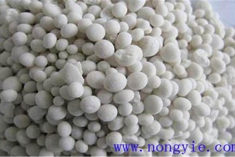 黄瓜花打顶怎么办？这五种办法可补救回来!