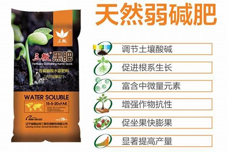 兰花冬天施什么肥最好