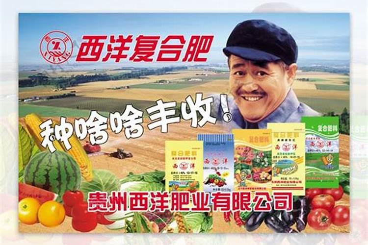 西洋复合肥是中国10大品牌吗