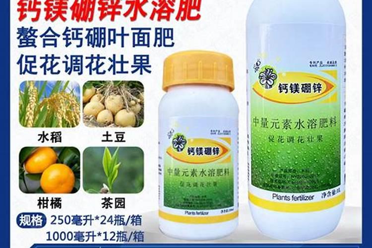 什么肥可以生根长根？