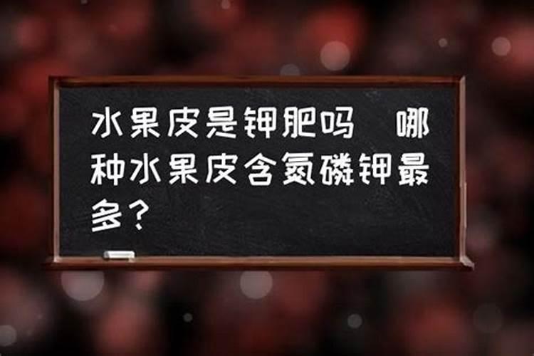 荔枝用什么肥料最好？4个施肥要点,千万要注意!