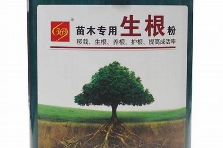 树苗施什么肥料什么时间施肥最好