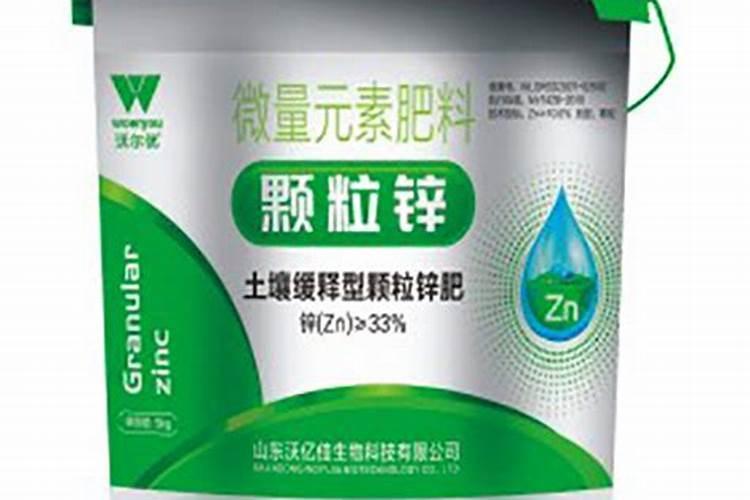 月季叶子肥大怎么解决