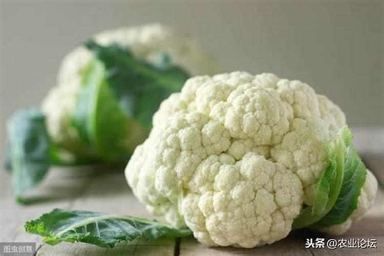 磷矿粉用在哪些土壤和作物上效果好