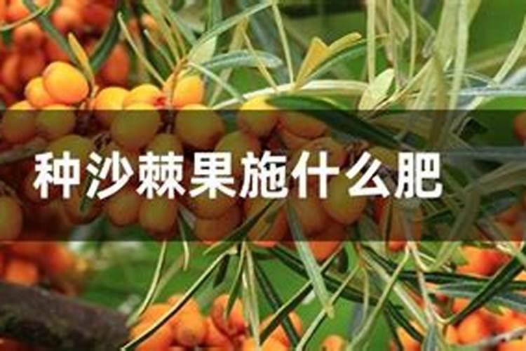 开磷复合肥的卖点怎么介绍好