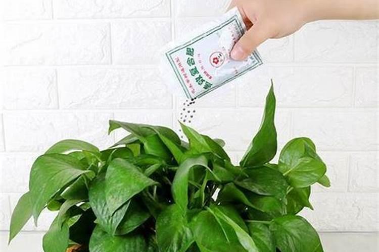 氮磷钾肥三种化肥不能混用吗