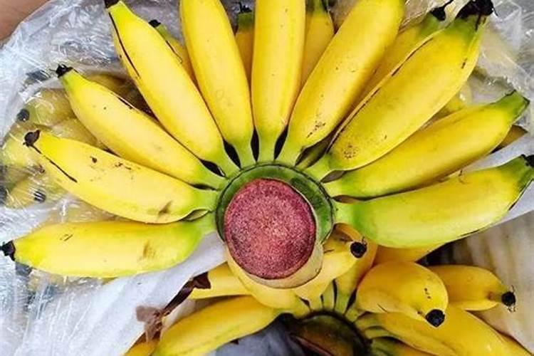米蕉有籽吗