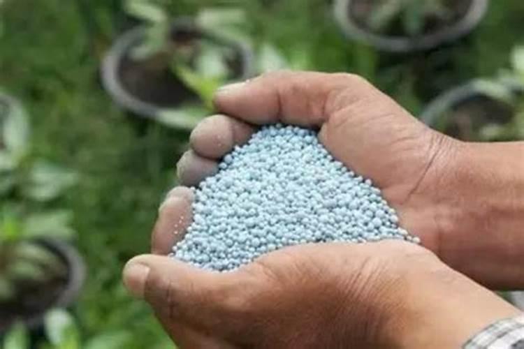 硅肥为何要禁止使用