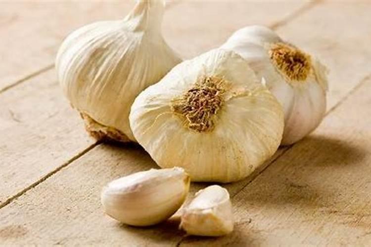 长得慢的植物有哪些