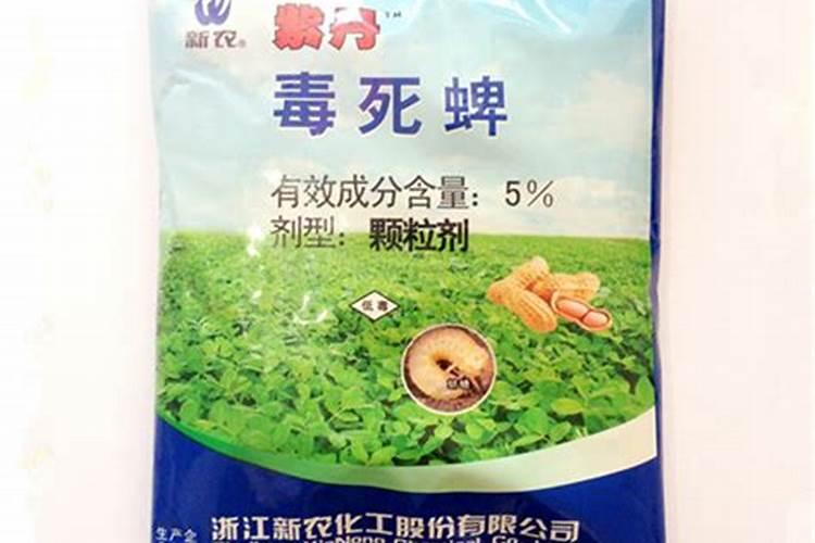 草莓苗种植多久能施肥 怎么施肥才能使草莓长势好