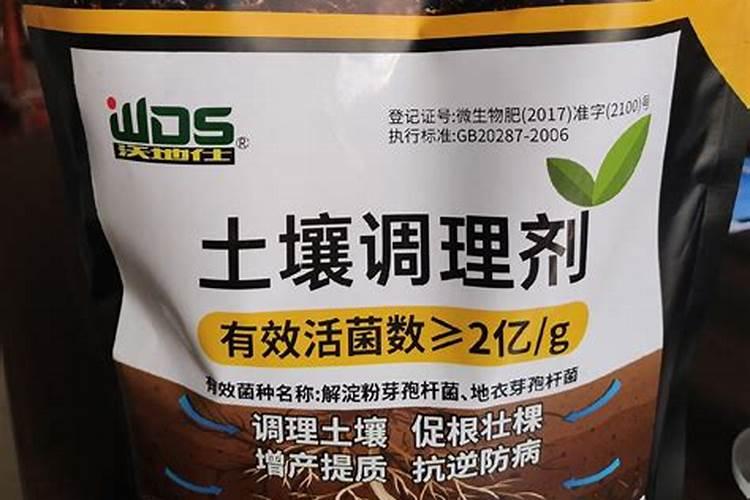 刚栽的菜苗应怎么浇水和追肥