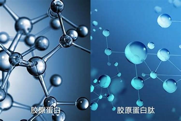 君子兰施什么肥好钾肥