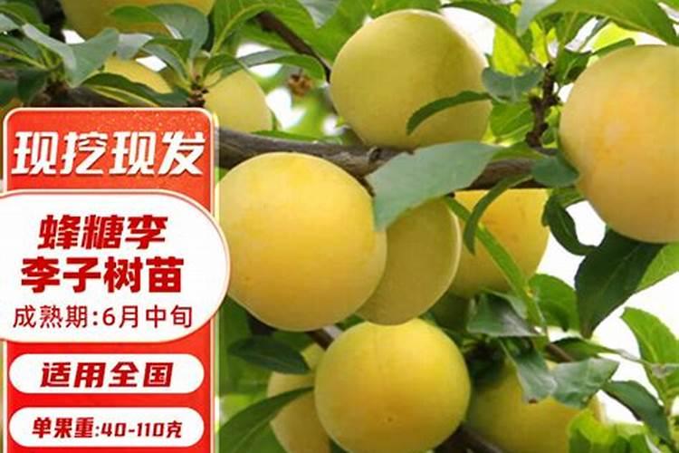 磷肥和钙肥能一起用吗 磷肥是酸性还是碱性的