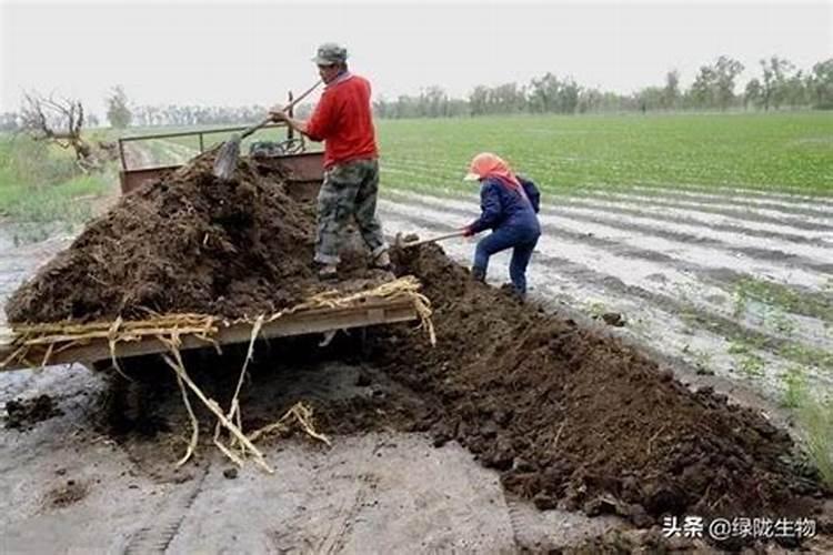 肥料一克是多少
