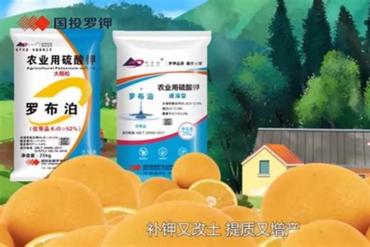 自家种的草莓怎么施肥