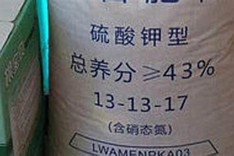 红枣为什么不会成为下一个苹果？