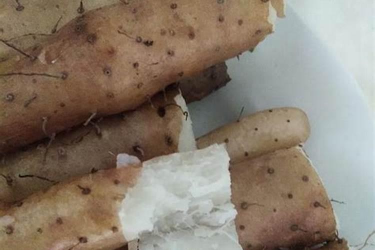 硅基生命是什么形式的？