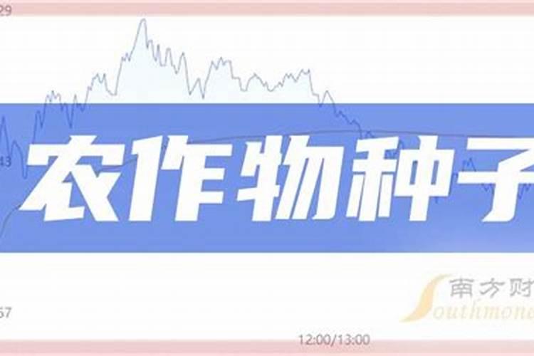 红叶石楠怎样管理？