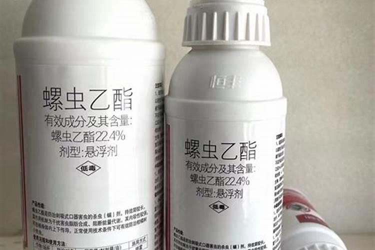 梨树盛花期蓟马严重怎么处理？