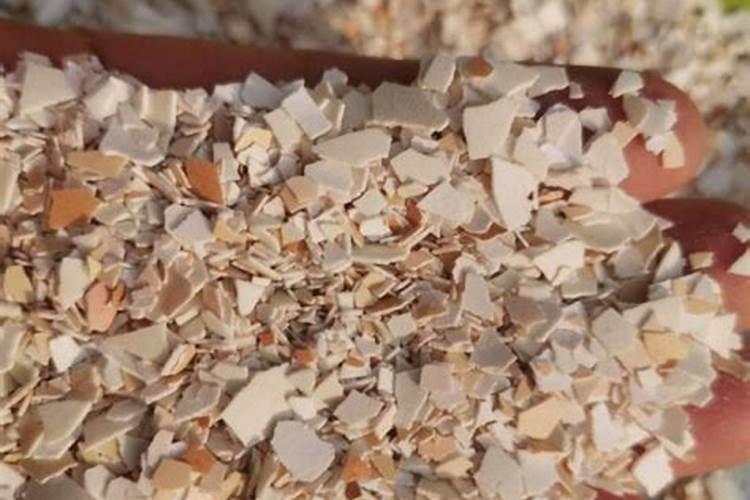 养花用的磷肥有哪些