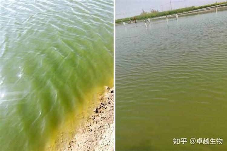 活性硼锌铁镁肥作用