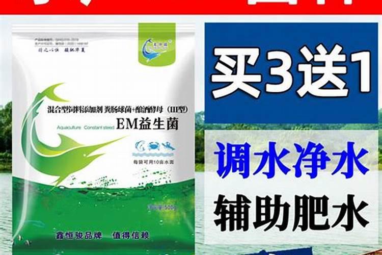 10月养花, 浇“氮肥水”花卉不黄叶, 无臭味、肥效好, 比黄豆水好