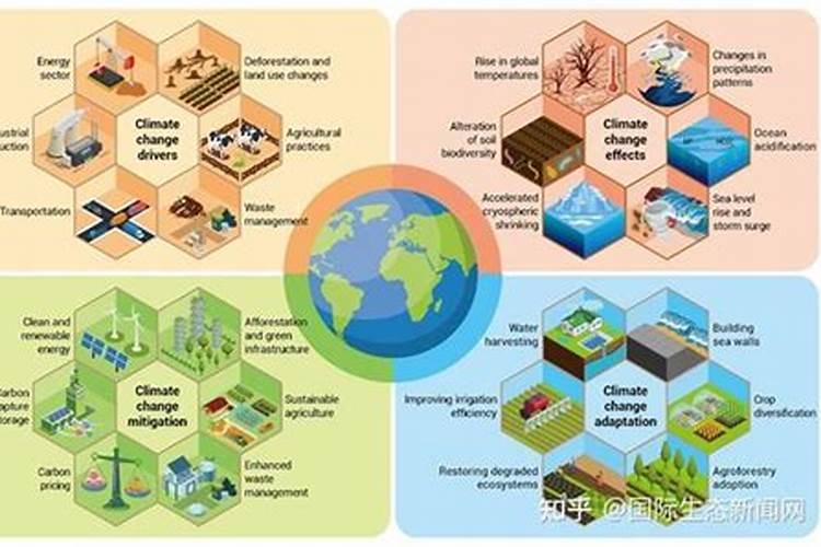 梨树只开花不结果怎么办