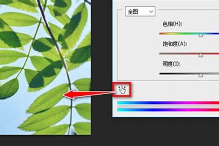 香蕉皮做花肥含氮磷钾哪种多 香蕉皮做花肥适合什么花