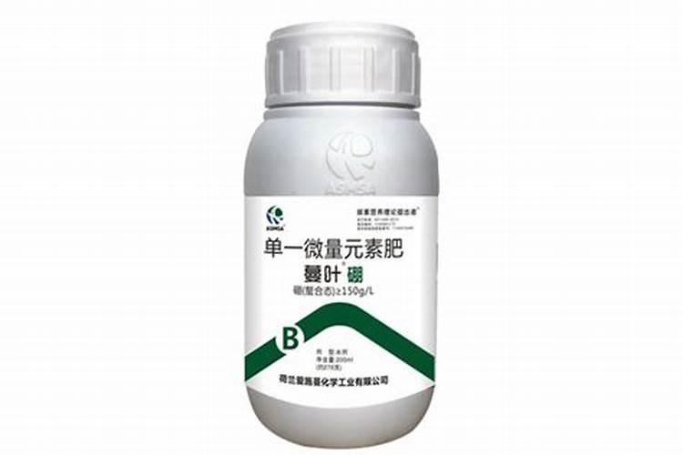 河南花菜什么时候种最合适？