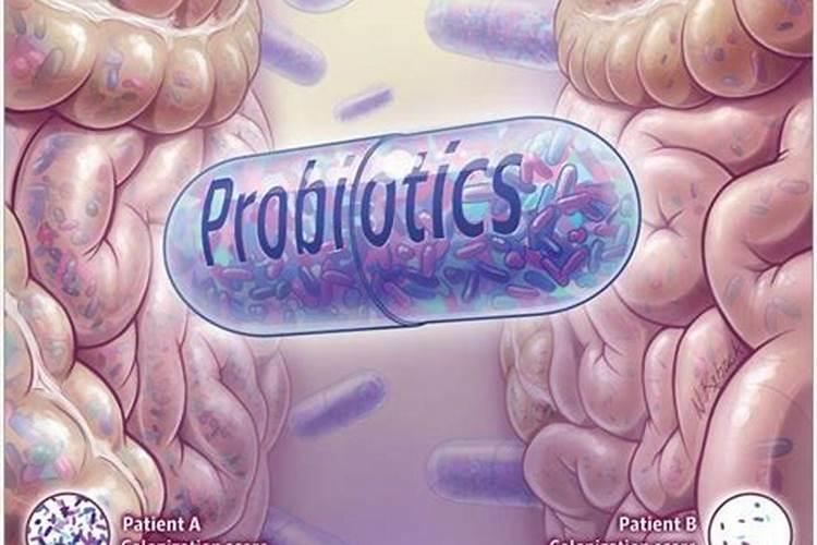 兰灵王兰花肥的用法是什么？