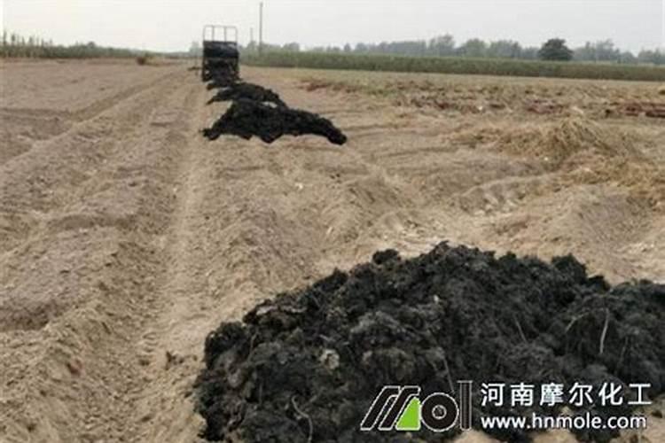 西兰花施什么肥最好