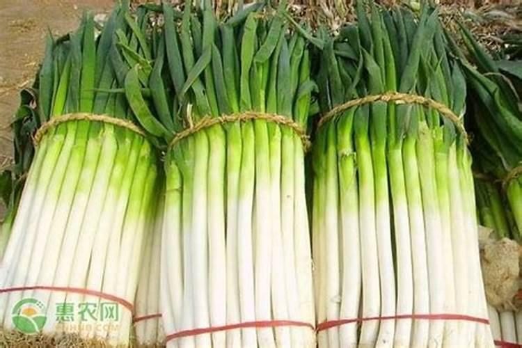 大葱冲什么肥长的快