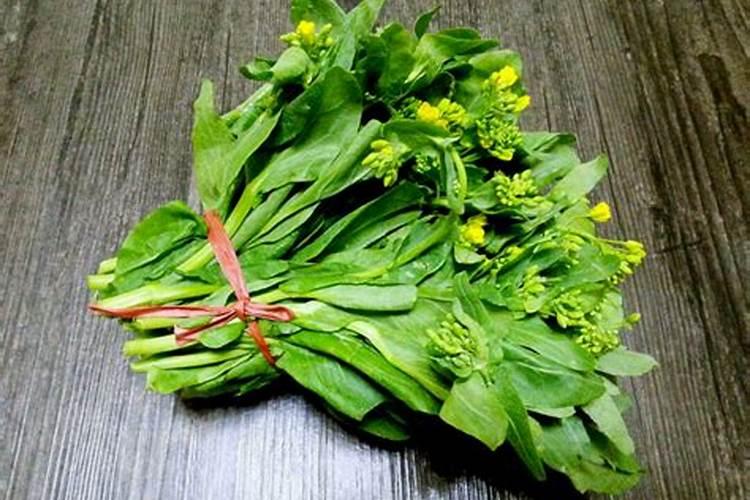 复合肥兑水浇菜会烧根吗