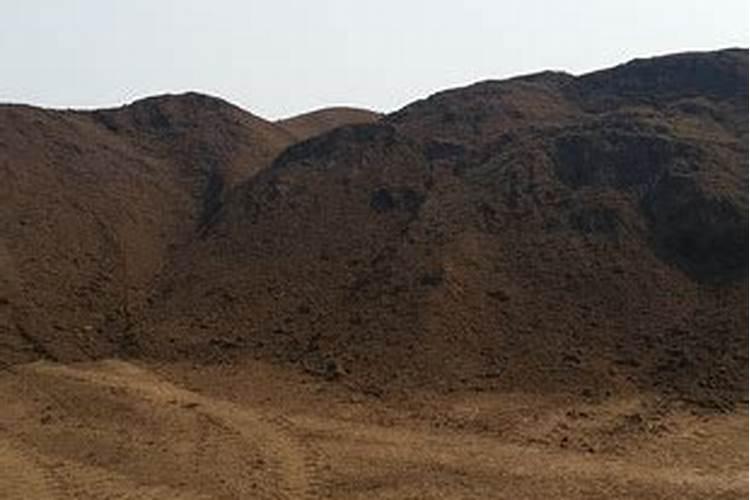 龟背竹花肥用什么合适 肥料制作与使用方法