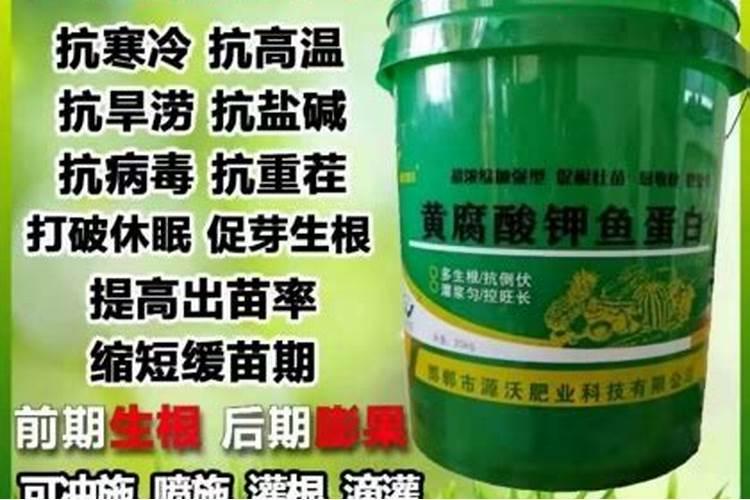 水稻旱育秧如何进行施肥