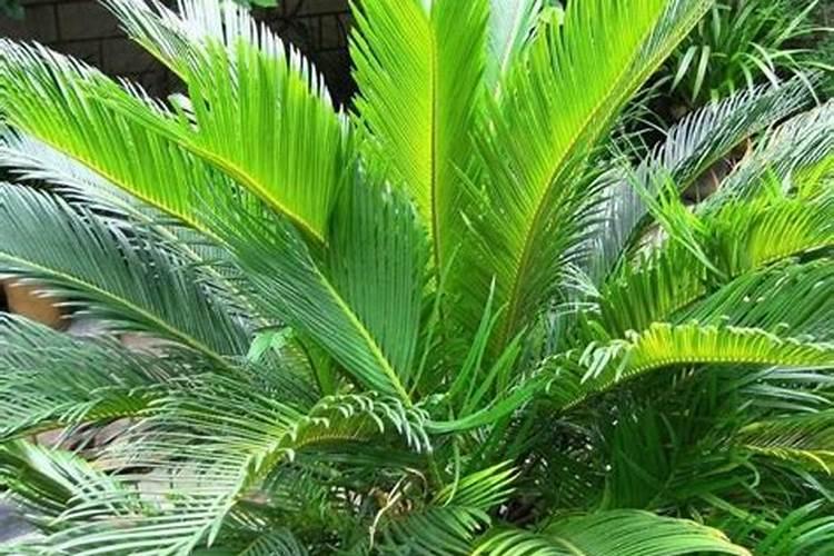 在生产磷肥有含钒的物质有哪些危害