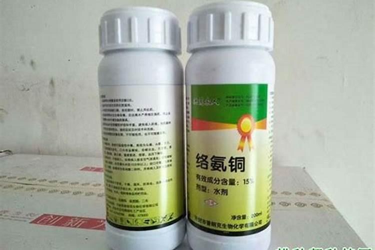 咯酸铜和什么杀菌药淋豆角不死腾
