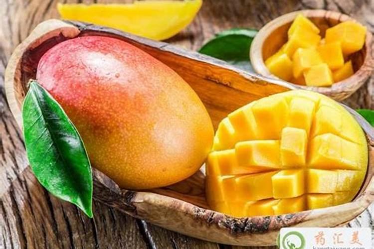 芒果什么时候施肥最好