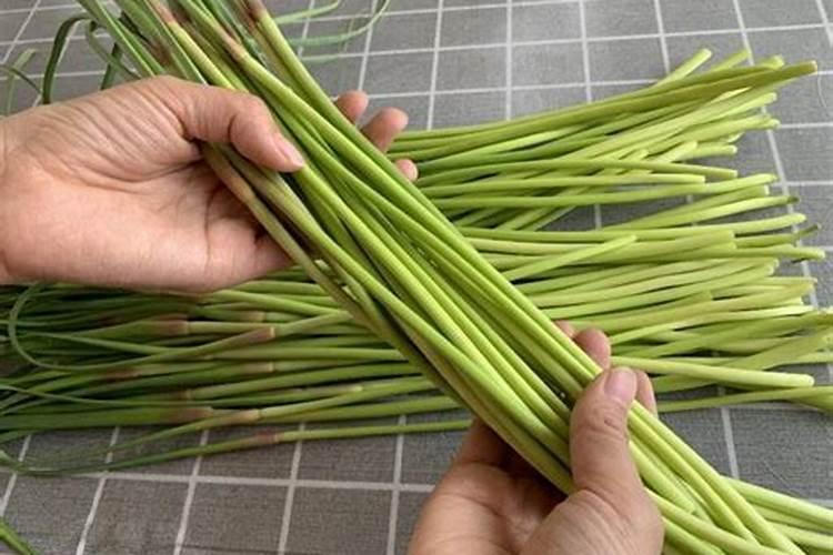 红菜苔施肥方法