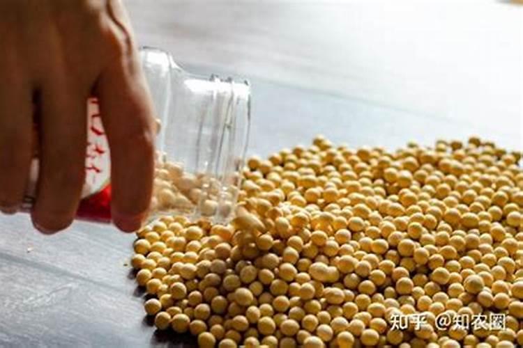 小麦需要什么含量的肥料？