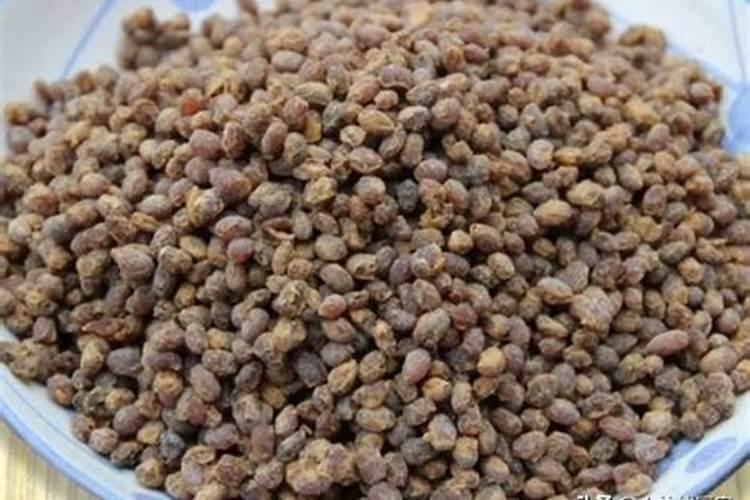 大豆做肥特别简单,有哪些细节需要注意的呢？