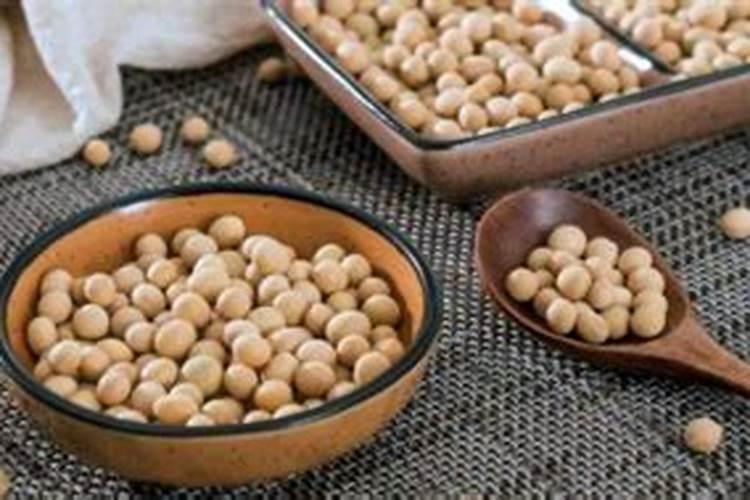 黄豆泡水是什么肥多久可以浇花