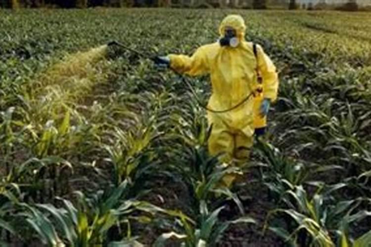 桃树开花期间能打药吗？