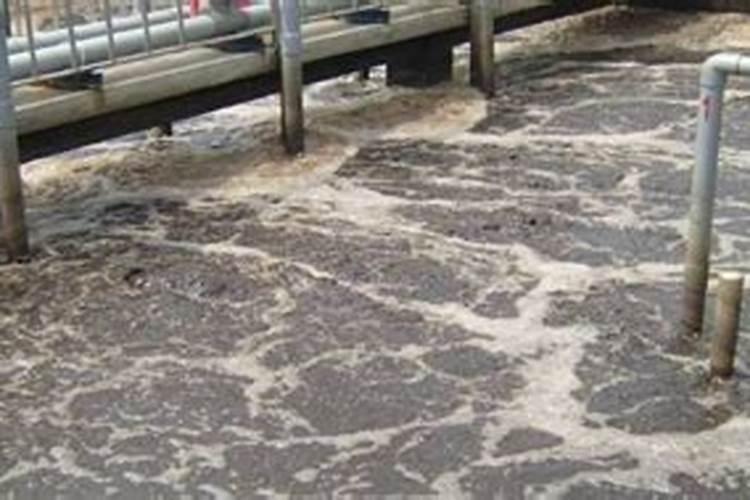 矿源黄腐酸钾真假区别