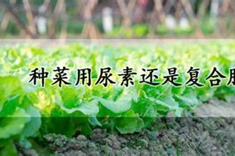 农业用微量元素可代工生产吗