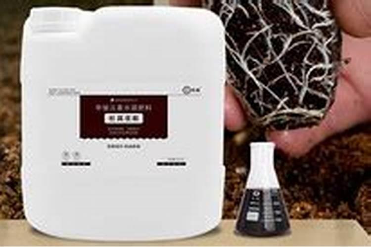 草木灰可以直接浇花吗？