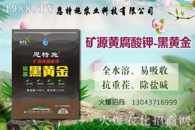 国内那家的腐殖酸肥料效果好